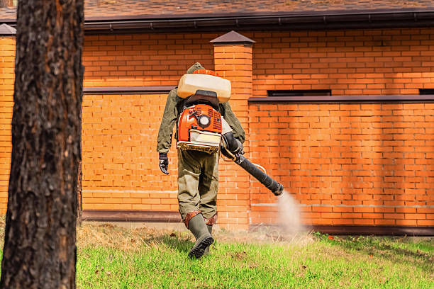 Trusted Fumigation Services service in Honeygo, MD - Nex Pest Control